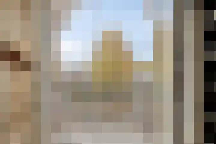 De Esdoorn 11 Budel thumbnail 13
