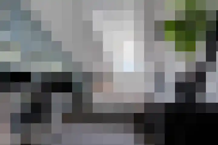 De Esdoorn 11 Budel thumbnail 14