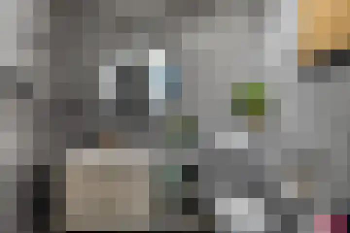 De Esdoorn 11 Budel thumbnail 17