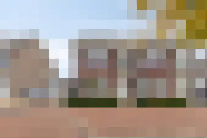 De Esdoorn 11 Budel thumbnail 21