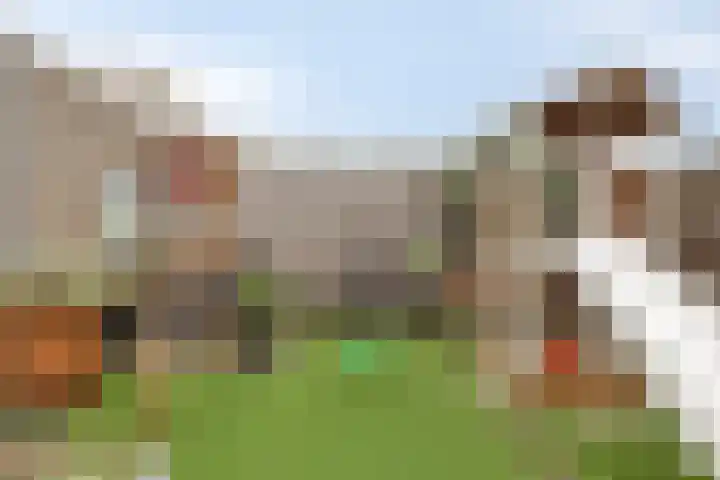 De Esdoorn 11 Budel thumbnail 24