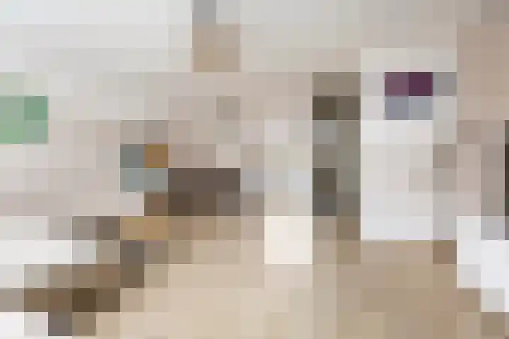 De Esdoorn 12 Bedum thumbnail 11