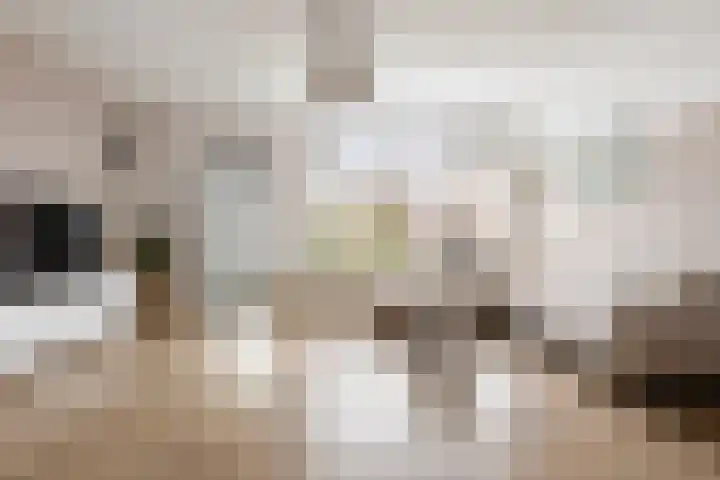 De Esdoorn 12 Bedum thumbnail 12