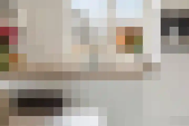 De Esdoorn 12 Bedum thumbnail 18