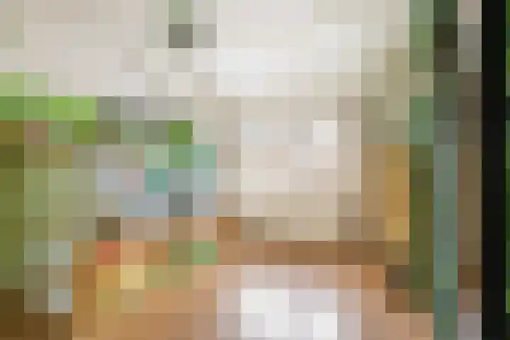 De Esdoorn 12 Bedum thumbnail 31