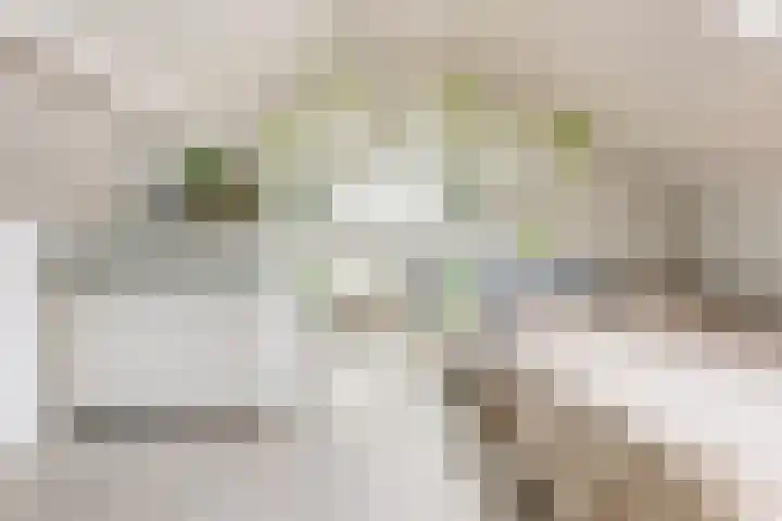 De Esdoorn 12 Bedum thumbnail 37