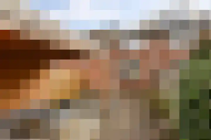De Esdoorn 12 Bedum thumbnail 41