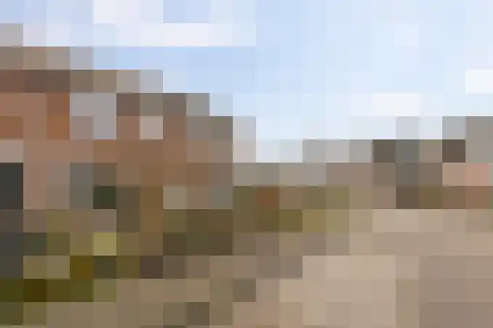 De Esdoorn 12 Bedum thumbnail 43