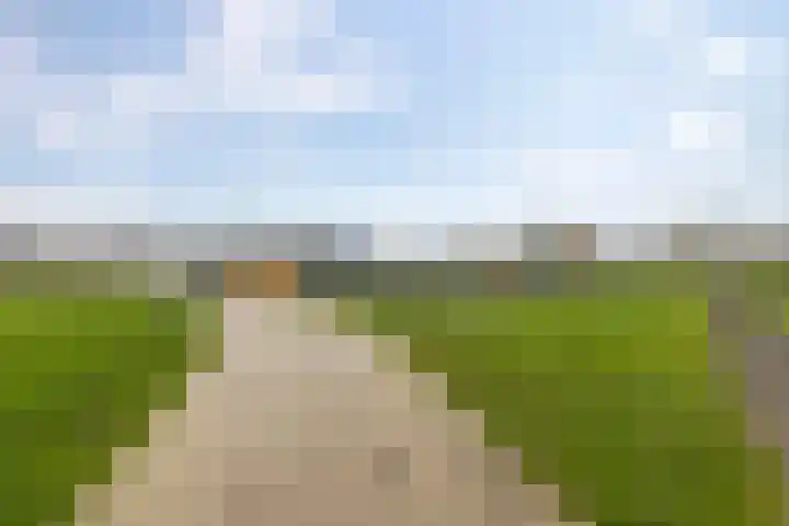 De Esdoorn 12 Bedum thumbnail 44