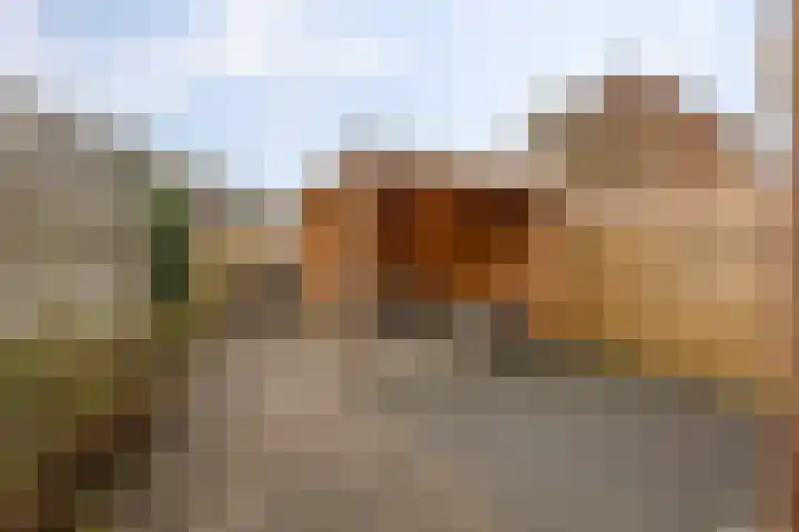 De Esdoorn 12 Bedum thumbnail 6