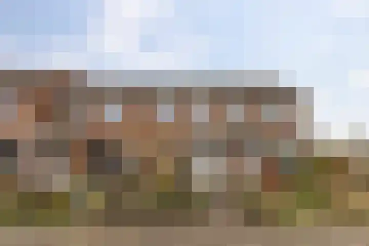 De Esdoorn 12 Bedum thumbnail 8