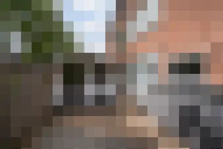 De Esdoorn 31 Rhoon thumbnail 14