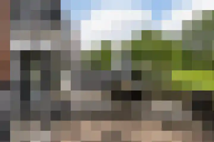 De Esdoorn 31 Rhoon thumbnail 15