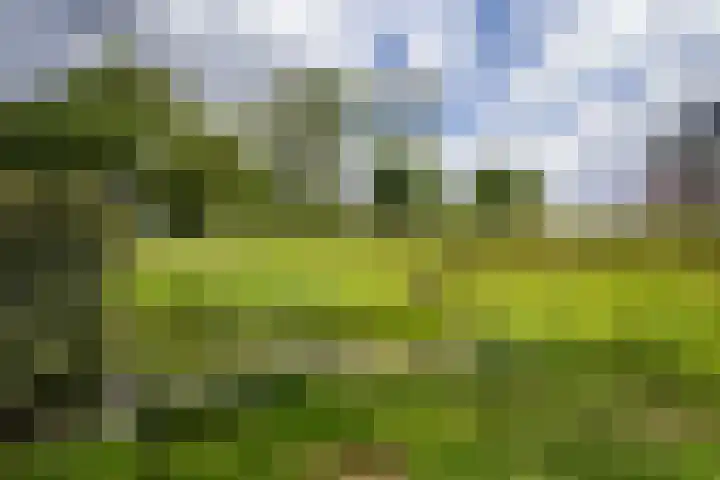 De Esdoorn 31 Rhoon thumbnail 16