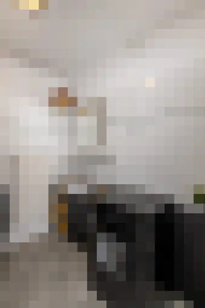 De Esdoorn 31 Rhoon thumbnail 29