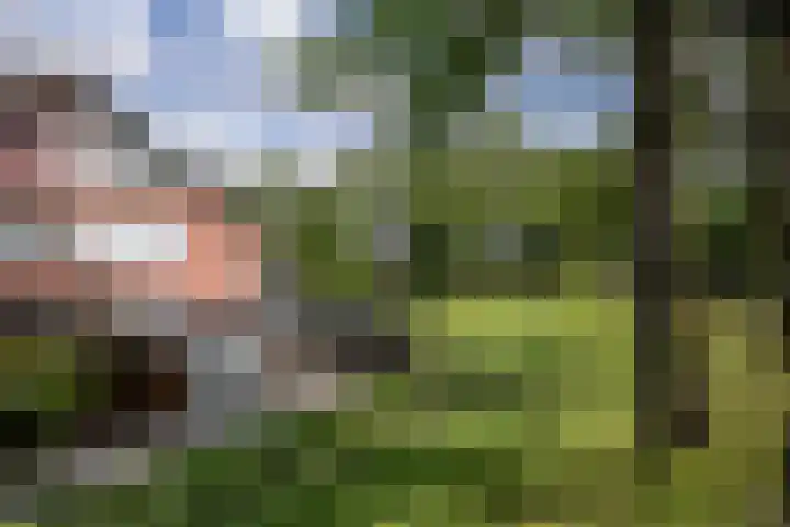 De Esdoorn 31 Rhoon thumbnail 31