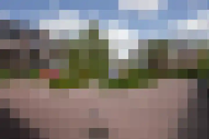 De Esdoorn 31 Rhoon thumbnail 33