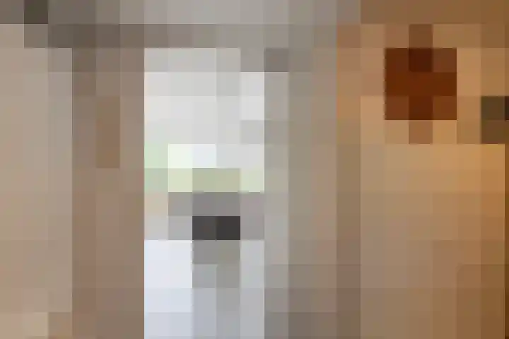 De Esdoorn 31 Rhoon thumbnail 9