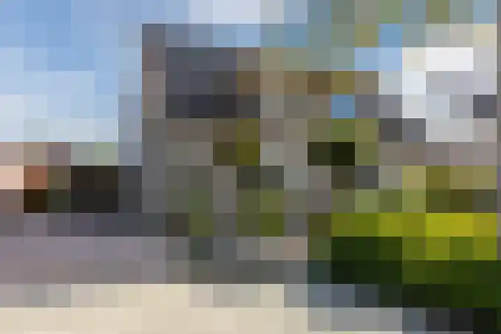 De Esdoorn 4 Koekange
