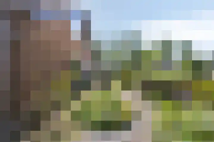 De Esdoorn 41 Rhoon thumbnail 24
