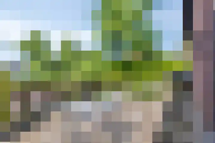 De Esdoorn 41 Rhoon thumbnail 25