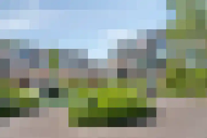 De Esdoorn 41 Rhoon thumbnail 27