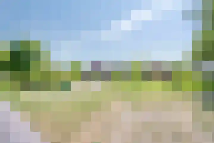 De Esdoorn 41 Rhoon thumbnail 28