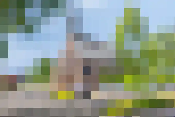 De Esdoorn 41 Rhoon thumbnail 29
