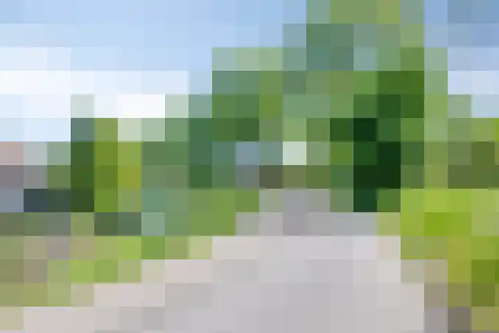 De Esdoorn 41 Rhoon thumbnail 30