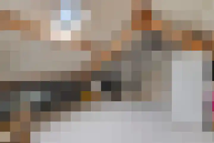 de Esdoorn 6 Boxmeer thumbnail 24