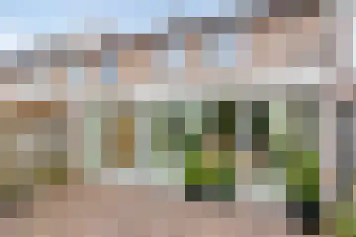 de Esdoorn 6 Boxmeer thumbnail 26