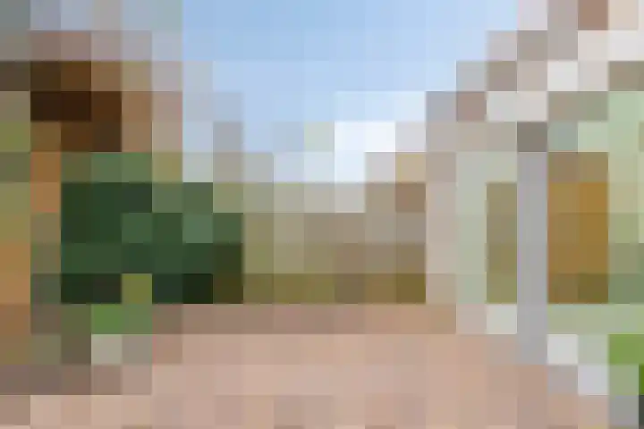 de Esdoorn 6 Boxmeer thumbnail 27