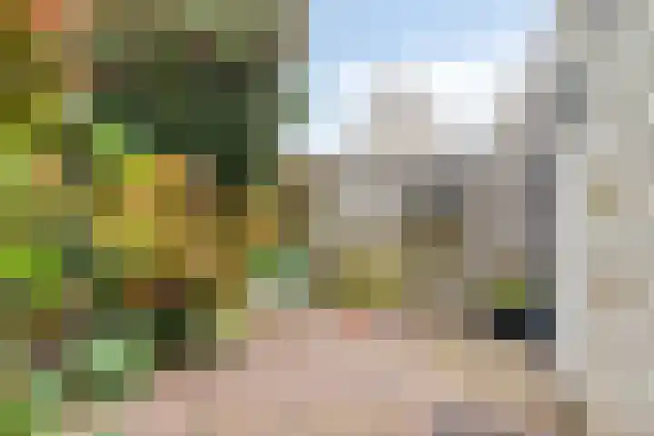 de Esdoorn 6 Boxmeer thumbnail 31