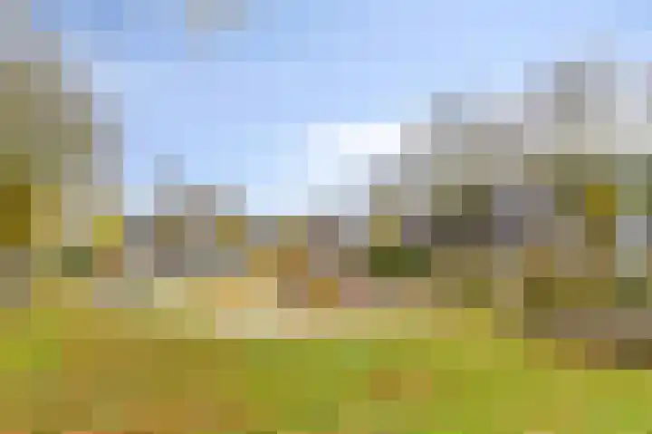 de Esdoorn 6 Boxmeer thumbnail 37