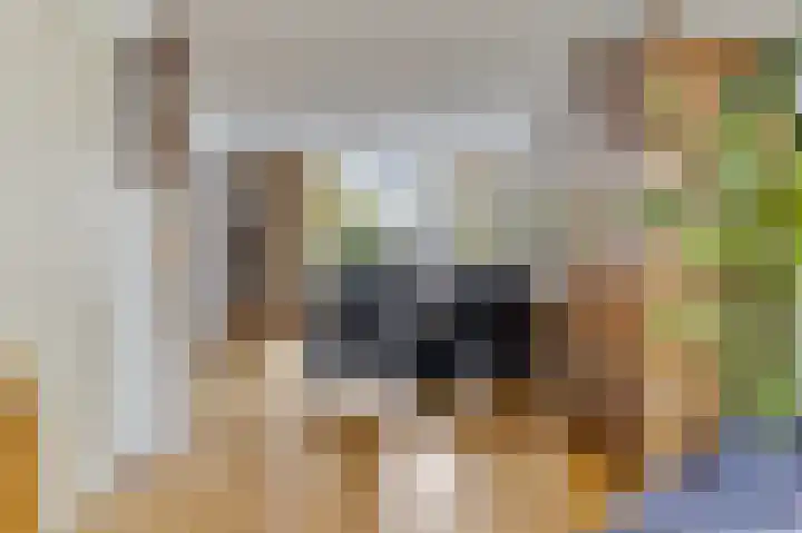 de Esdoorn 6 Boxmeer thumbnail 7
