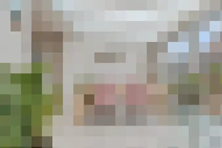 de Esdoorn 6 Boxmeer thumbnail 8