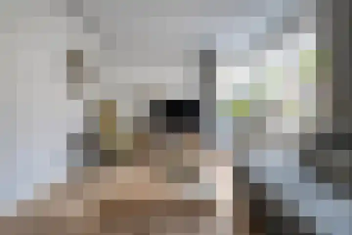 de Essenbree 80 Mariënheem thumbnail 16