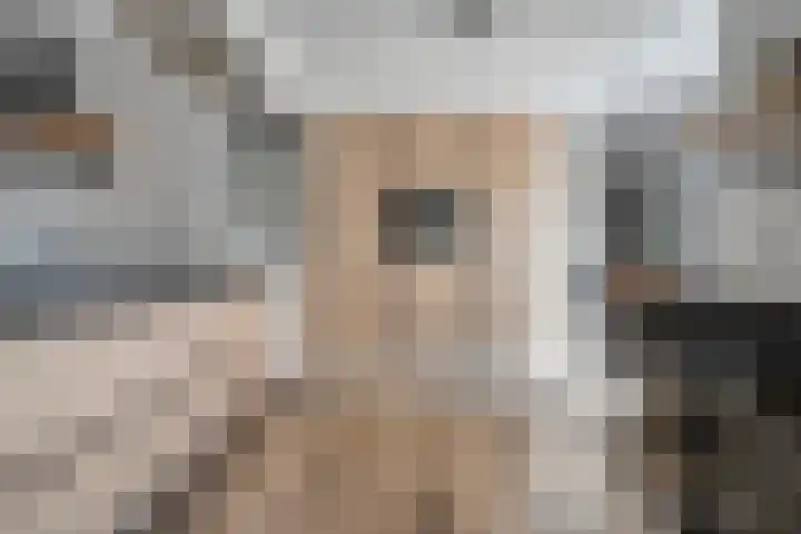 de Essenbree 80 Mariënheem thumbnail 21