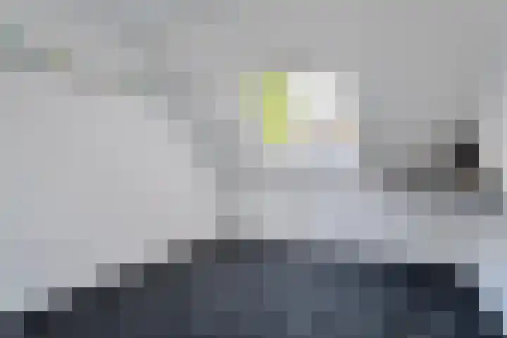de Essenbree 80 Mariënheem thumbnail 37