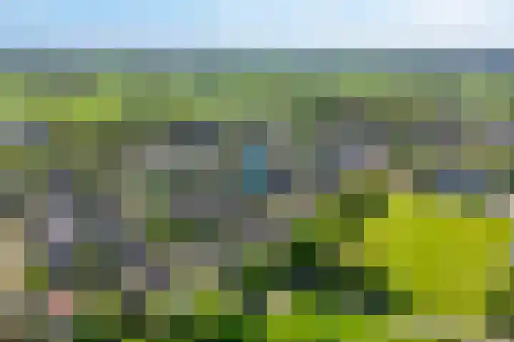 de Essenbree 80 Mariënheem thumbnail 5