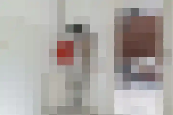 De Etstoel 9 Sleen thumbnail 22