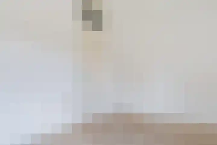 De Etstoel 9 Sleen thumbnail 25