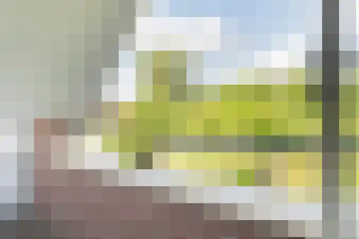 De Etstoel 9 Sleen thumbnail 34