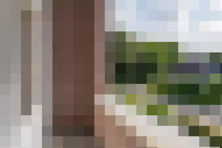 De Etstoel 9 Sleen thumbnail 44