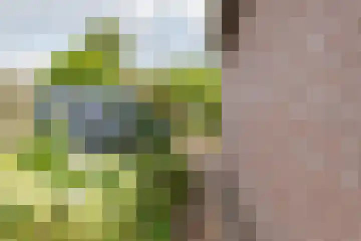 De Etstoel 9 Sleen thumbnail 47