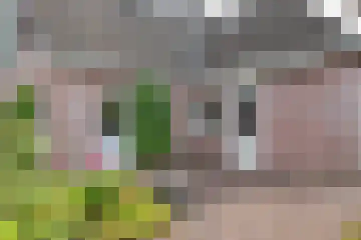 De Etstoel 9 Sleen thumbnail 48