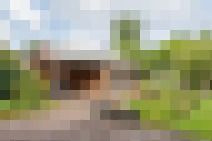De Etstoel 9 Sleen thumbnail 49