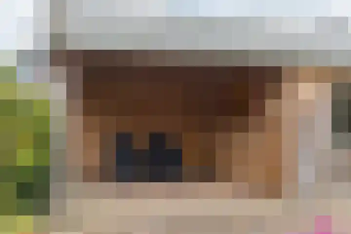 De Etstoel 9 Sleen thumbnail 50