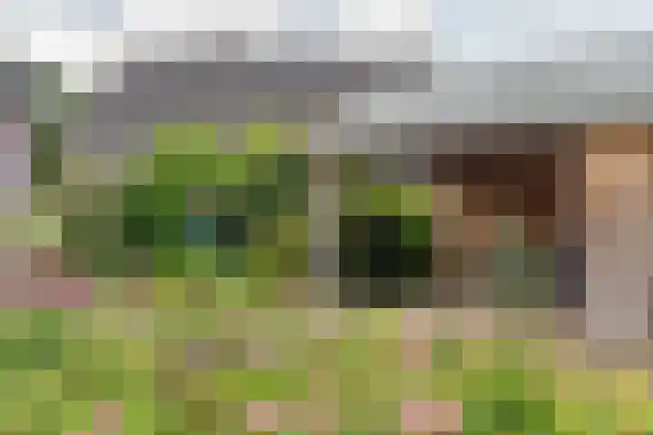 De Etstoel 9 Sleen thumbnail 53