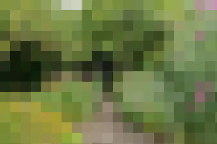 De Etstoel 9 Sleen thumbnail 57